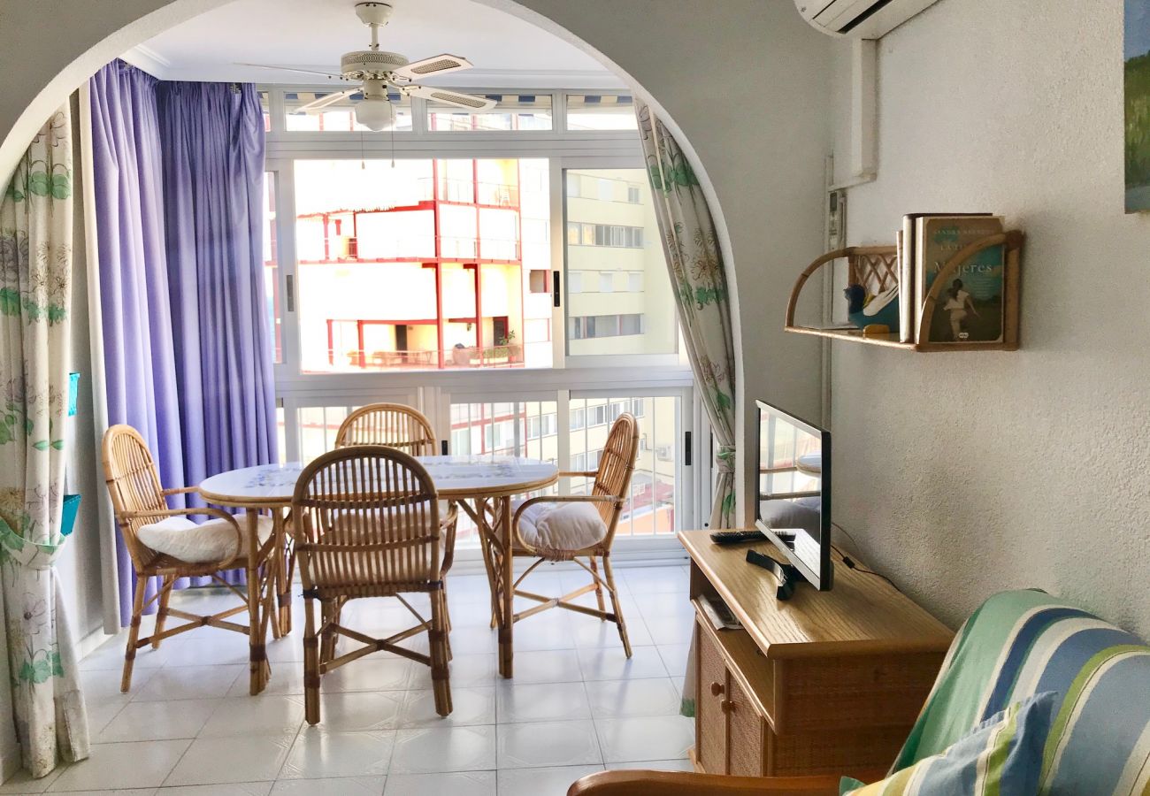 Apartamento en Benidorm - REX AND SUN APARTMENT R073