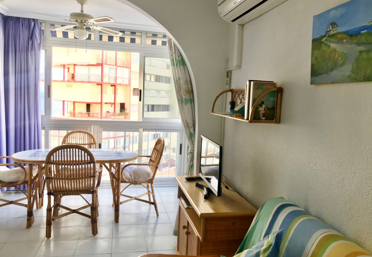 Apartamento en Benidorm - REX AND SUN APARTMENT R073