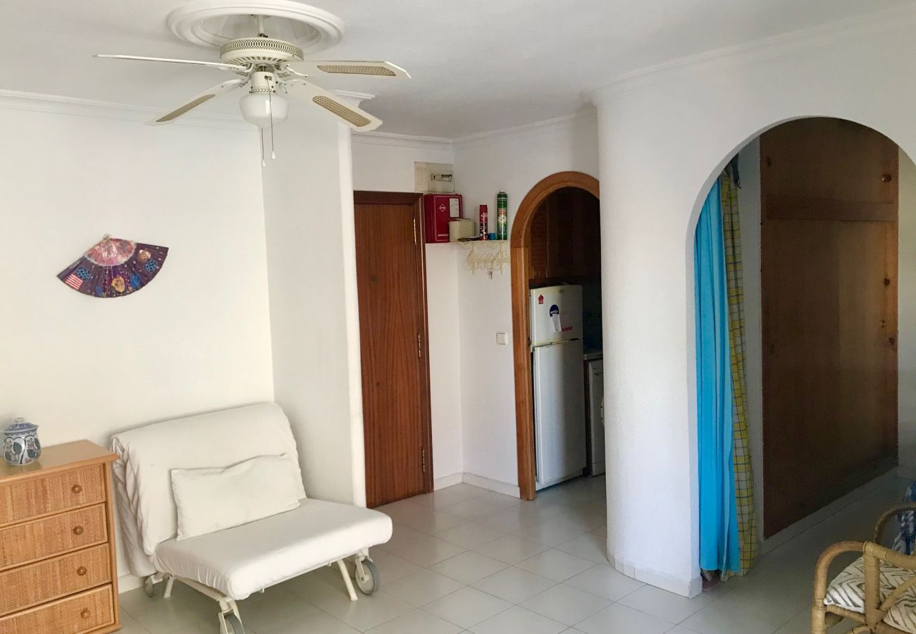 Apartamento en Benidorm - REX AND SUN APARTMENT R073