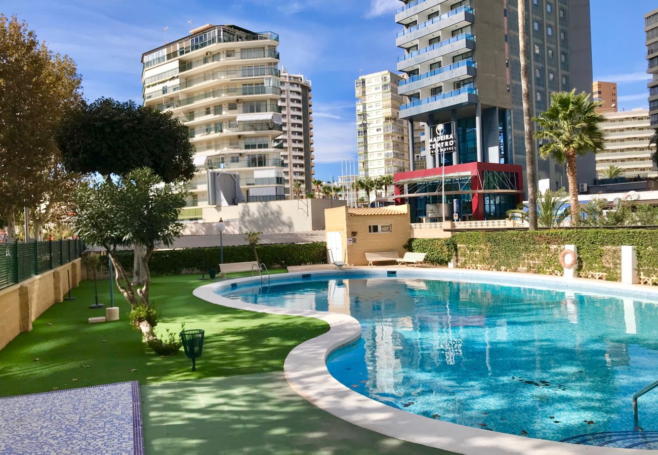 Apartamento en Benidorm - FRONT AL MAR APARTMENT R074