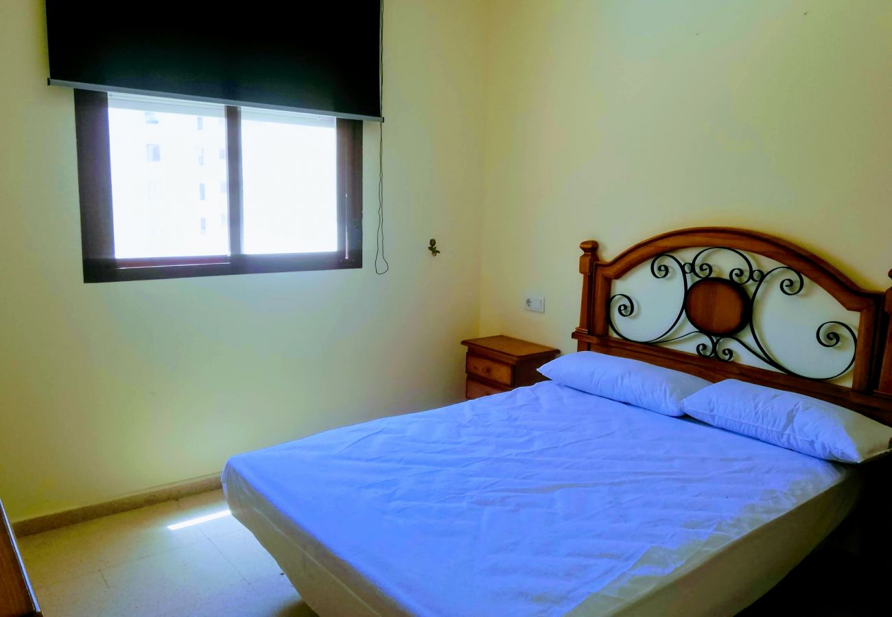 Apartamento en Benidorm - APARTAMENTO ENTREPLAYAS 2 R081