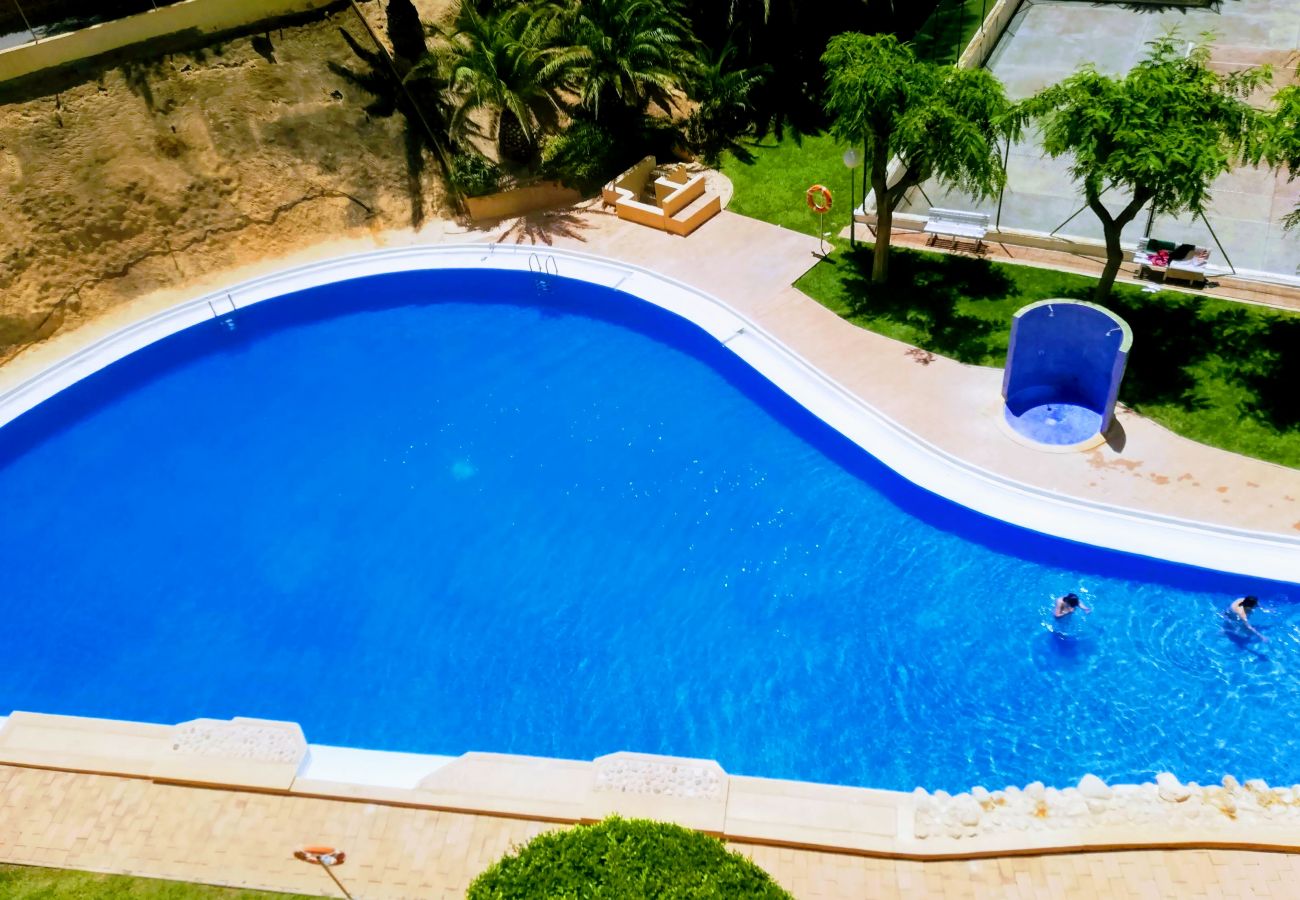 Apartamento en Benidorm - APARTAMENTO ENTREPLAYAS 2 R081