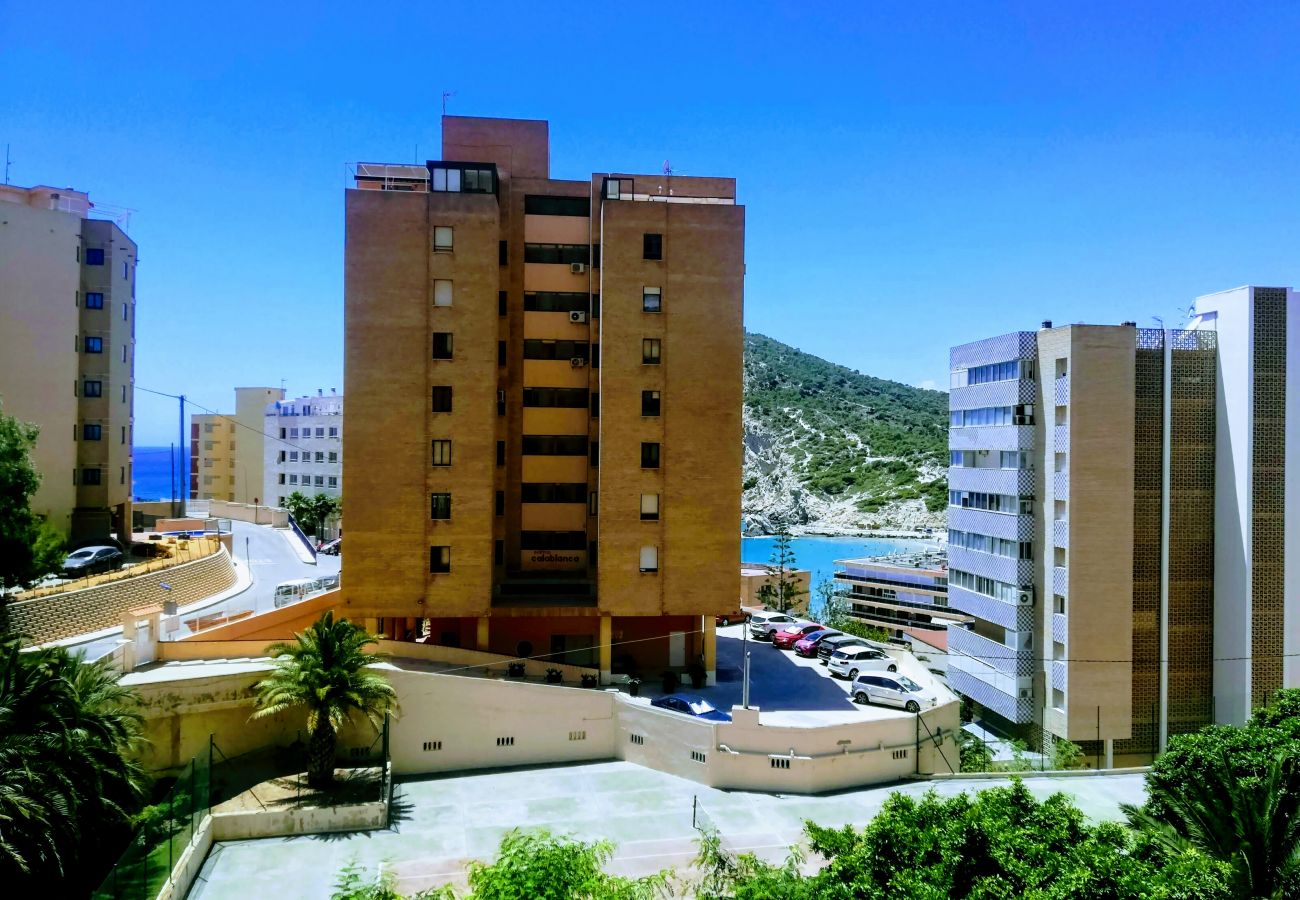 Apartamento en Benidorm - APARTAMENTO ENTREPLAYAS 2 R081