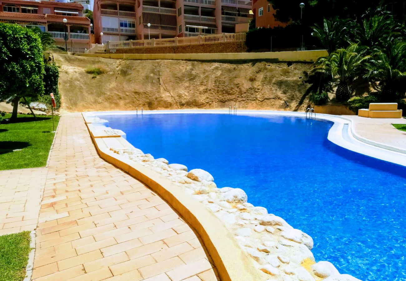 Apartamento en Benidorm - APARTAMENTO ENTREPLAYAS 2 R081