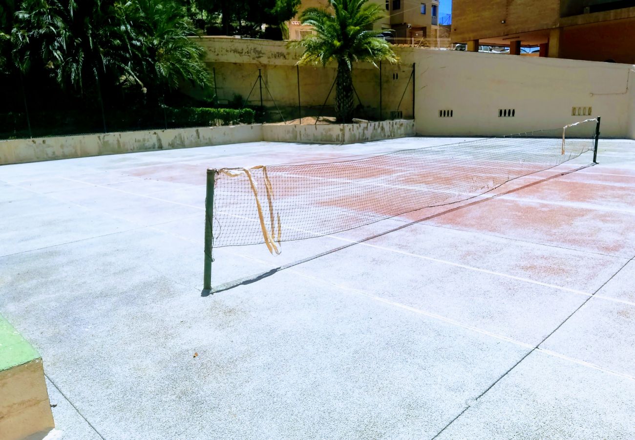 Apartamento en Benidorm - APARTAMENTO ENTREPLAYAS 2 R081
