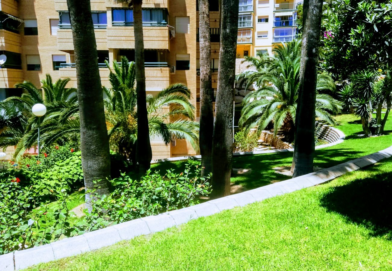 Apartamento en Benidorm - APARTAMENTO ENTREPLAYAS 2 R081