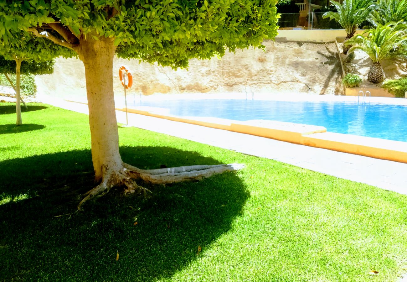 Apartamento en Benidorm - APARTAMENTO ENTREPLAYAS 2 R081