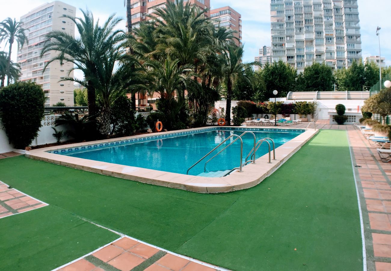 Apartamento en Benidorm - GEMELOS 1 MODERN SEAVIEWS R084