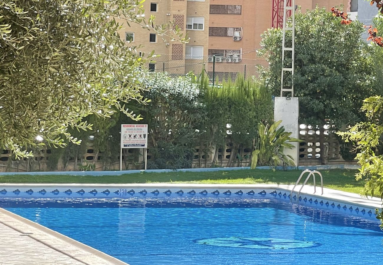 Apartamento en Benidorm - ACACIAS BENIDORM VIEWS R098