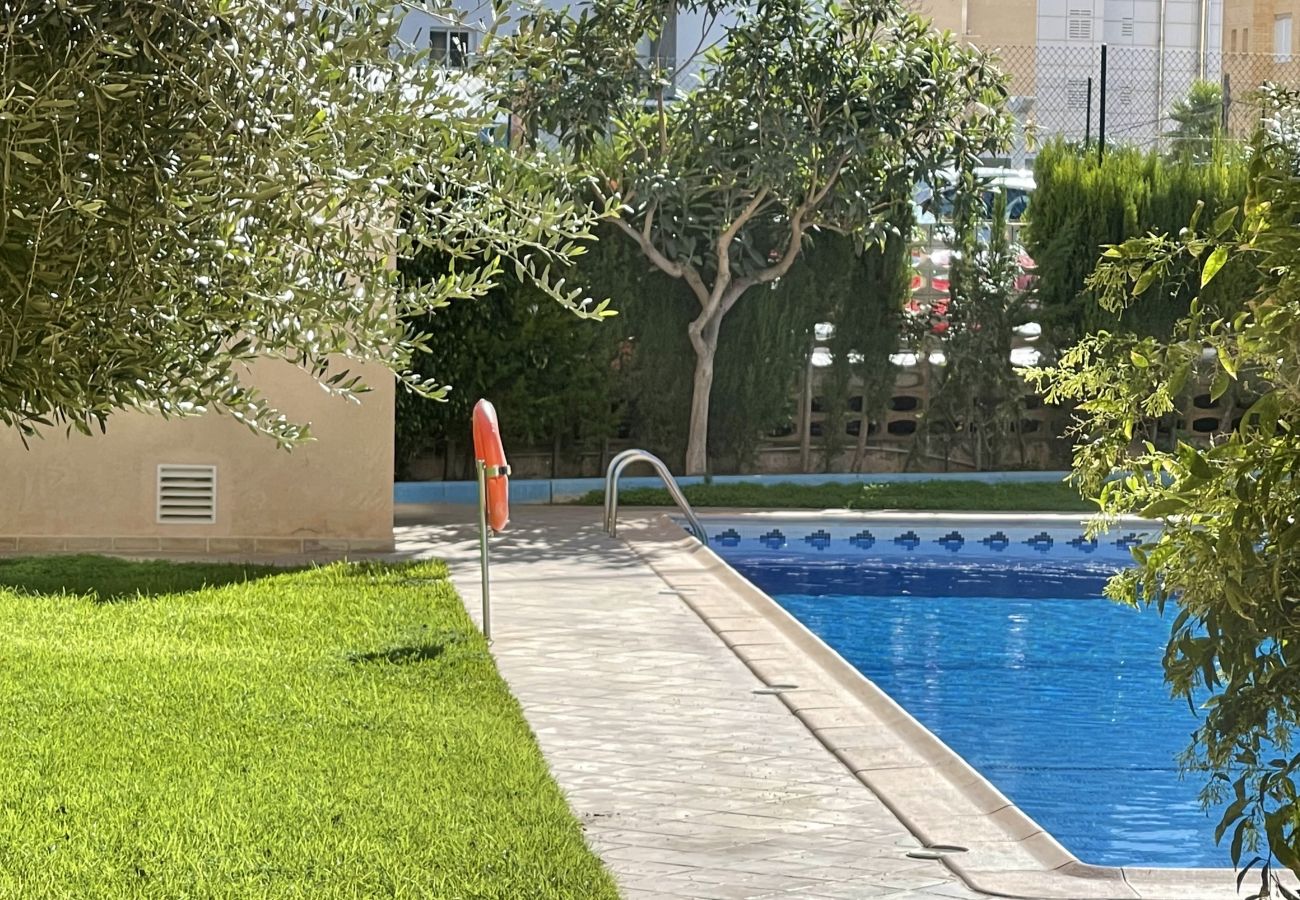 Apartamento en Benidorm - ACACIAS BENIDORM VIEWS R098