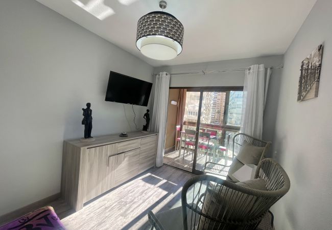 Apartamento en Benidorm - NEW CENIT R100 Apartamento en Benidorm - NEW CENIT R100