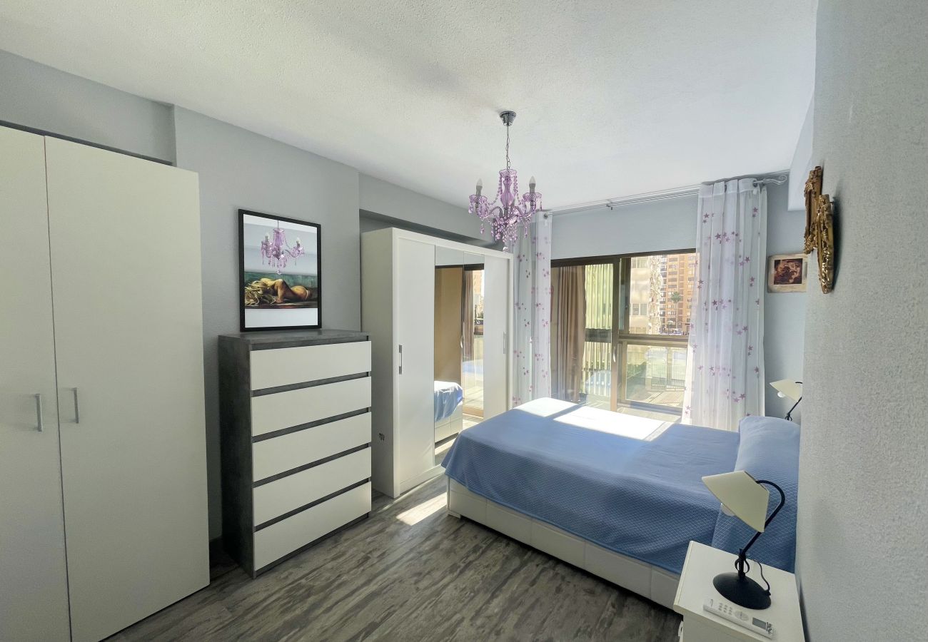 Apartamento en Benidorm - NEW CENIT R100