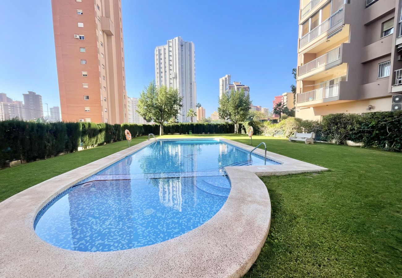 Apartamento en Benidorm - BRAZIL RETREAT R102