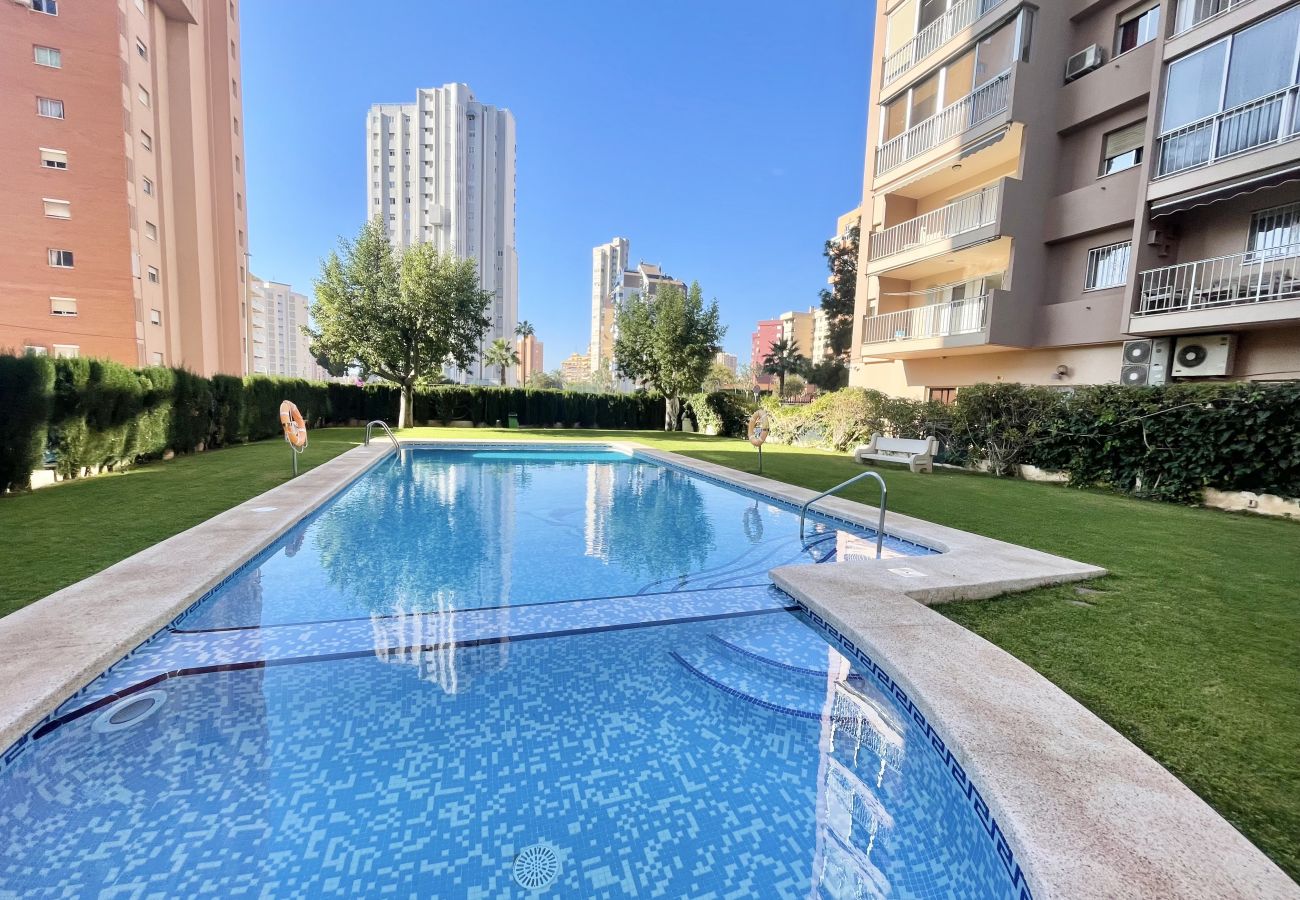 Apartamento en Benidorm - BRAZIL RETREAT R102