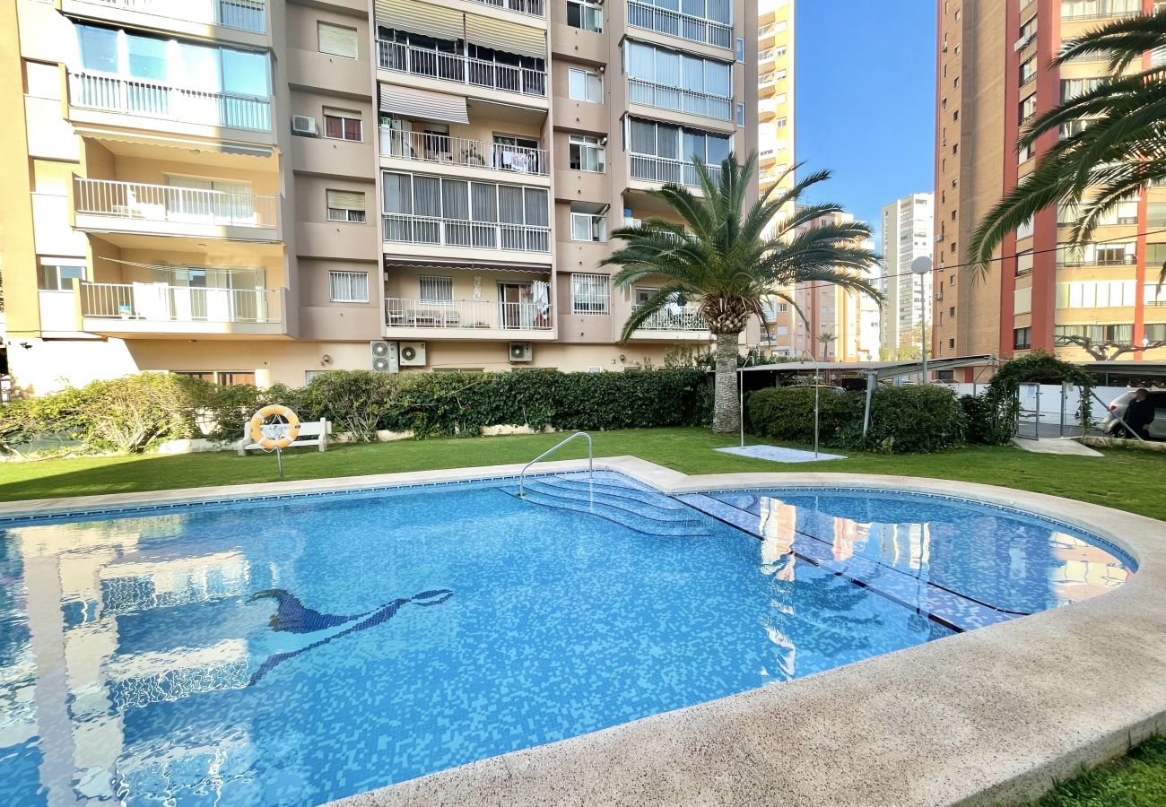 Apartamento en Benidorm - BRAZIL RETREAT R102