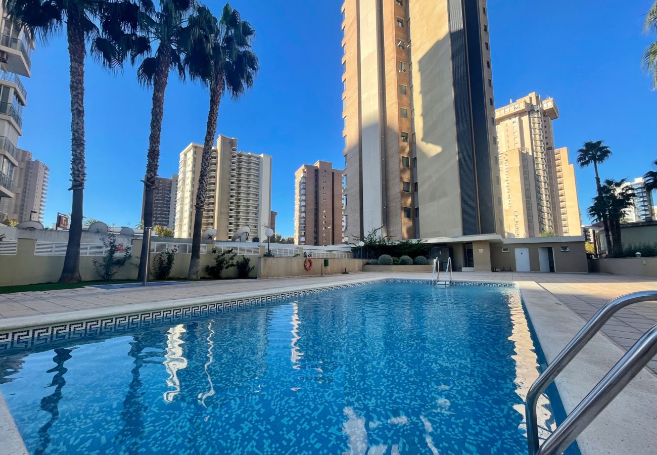 Apartamento en Benidorm - GERONA DREAM R112