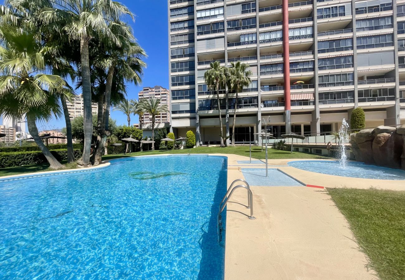 Apartamento en Benidorm - TORRE DOSCALAS PONIENTE R114