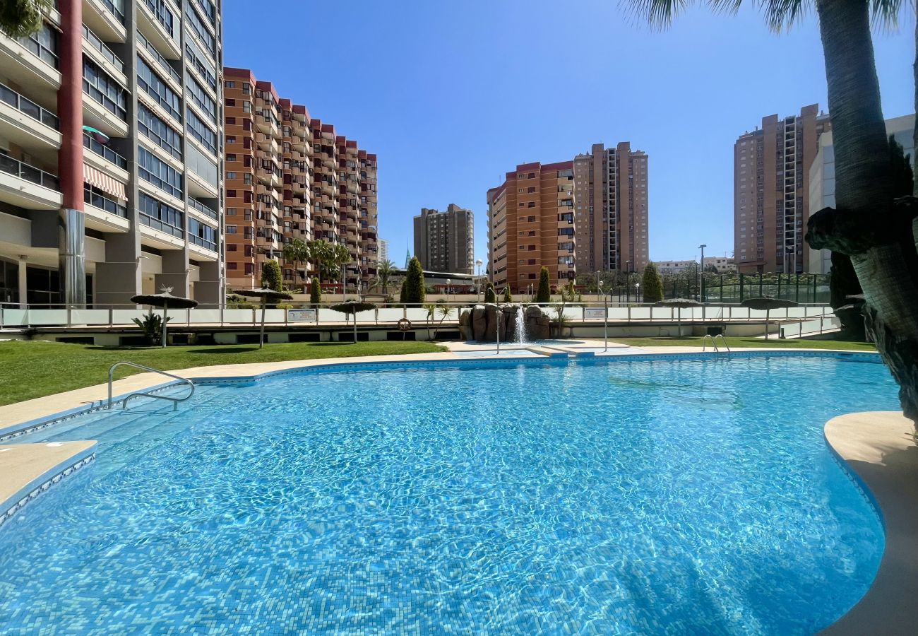 Apartamento en Benidorm - TORRE DOSCALAS PONIENTE R114