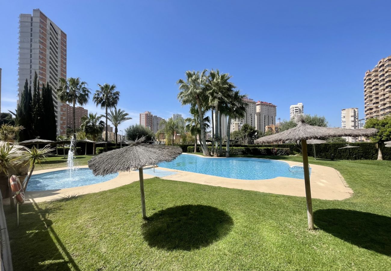 Apartamento en Benidorm - TORRE DOSCALAS PONIENTE R114