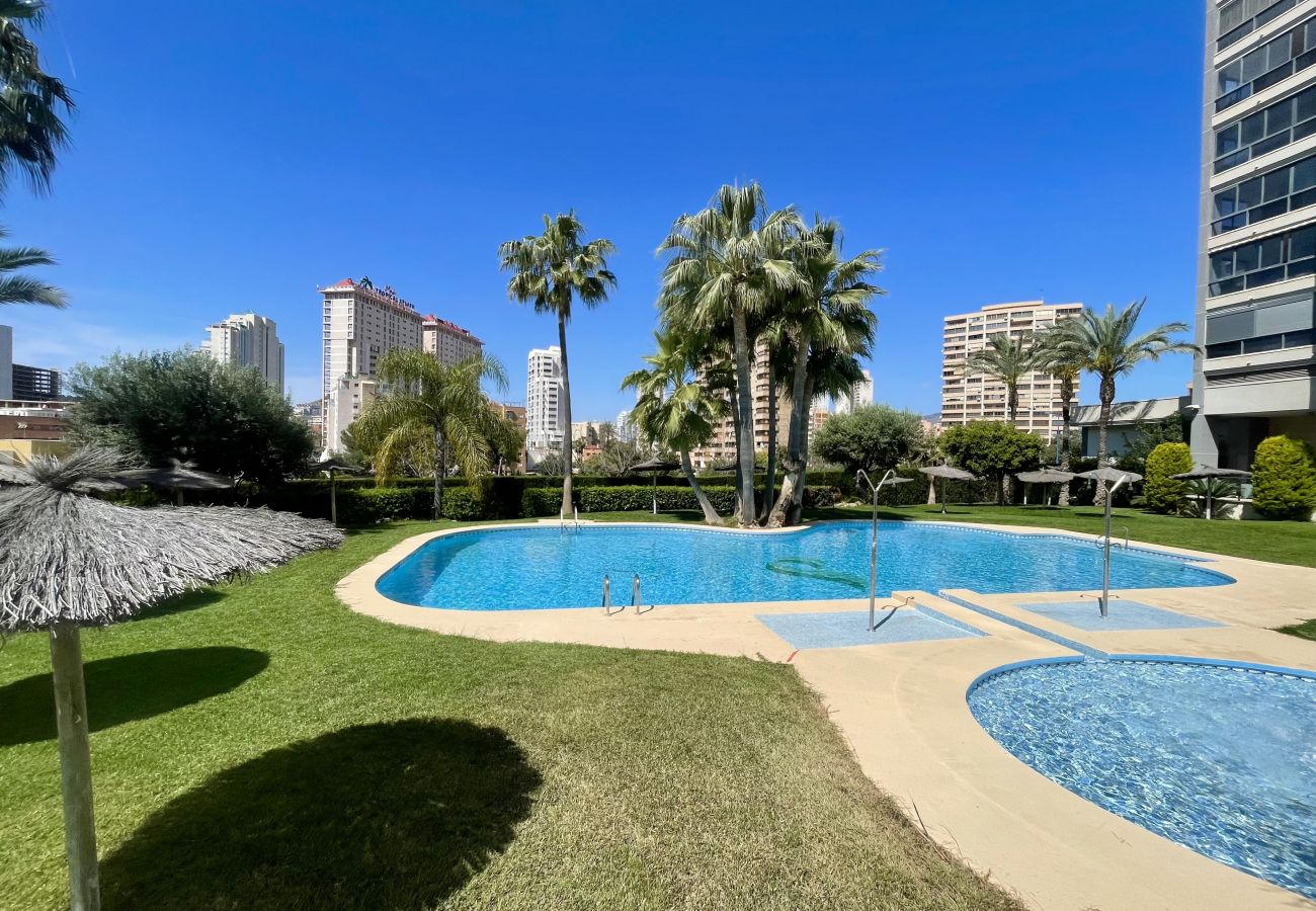 Apartamento en Benidorm - TORRE DOSCALAS PONIENTE R114