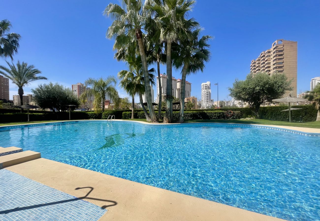 Apartamento en Benidorm - TORRE DOSCALAS PONIENTE R114