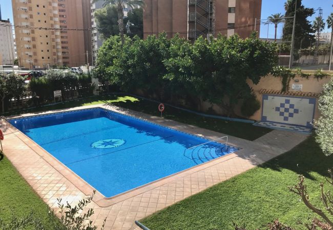 Apartamento en Benidorm - ACACIAS CENTER APARTMENT R119