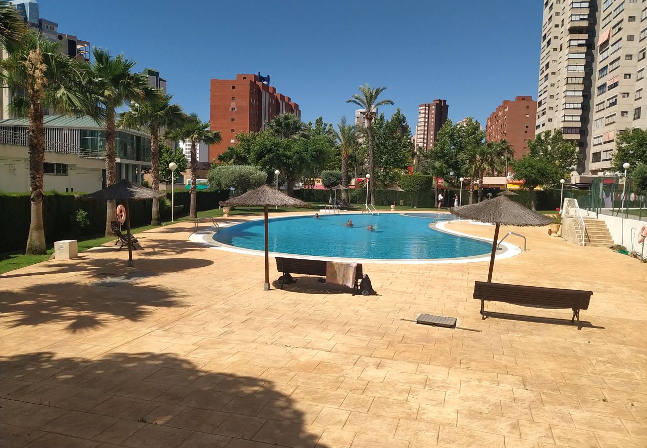 Apartamento en Benidorm - CIBELES SUN APARTMENT R120