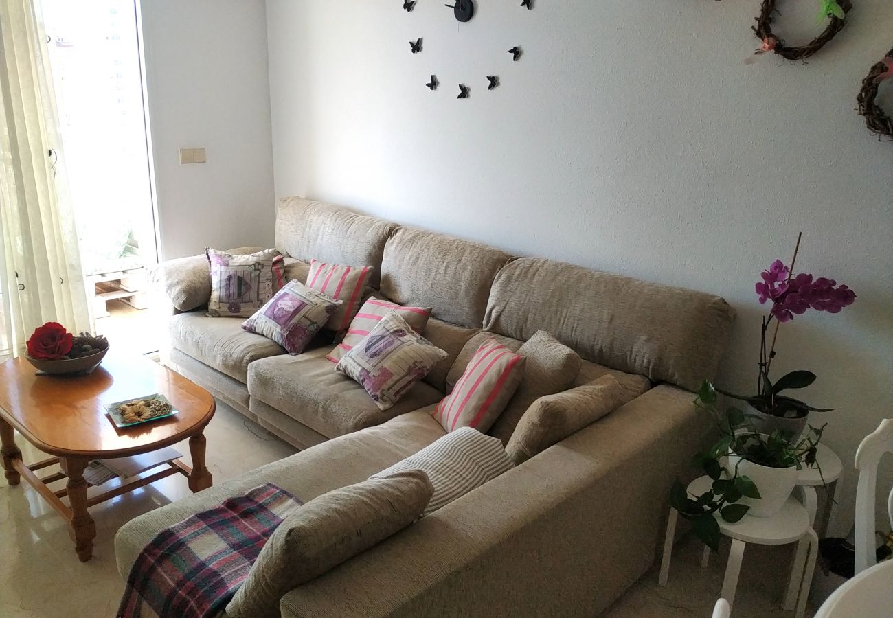 Apartamento en Benidorm - CIBELES SUN APARTMENT R120