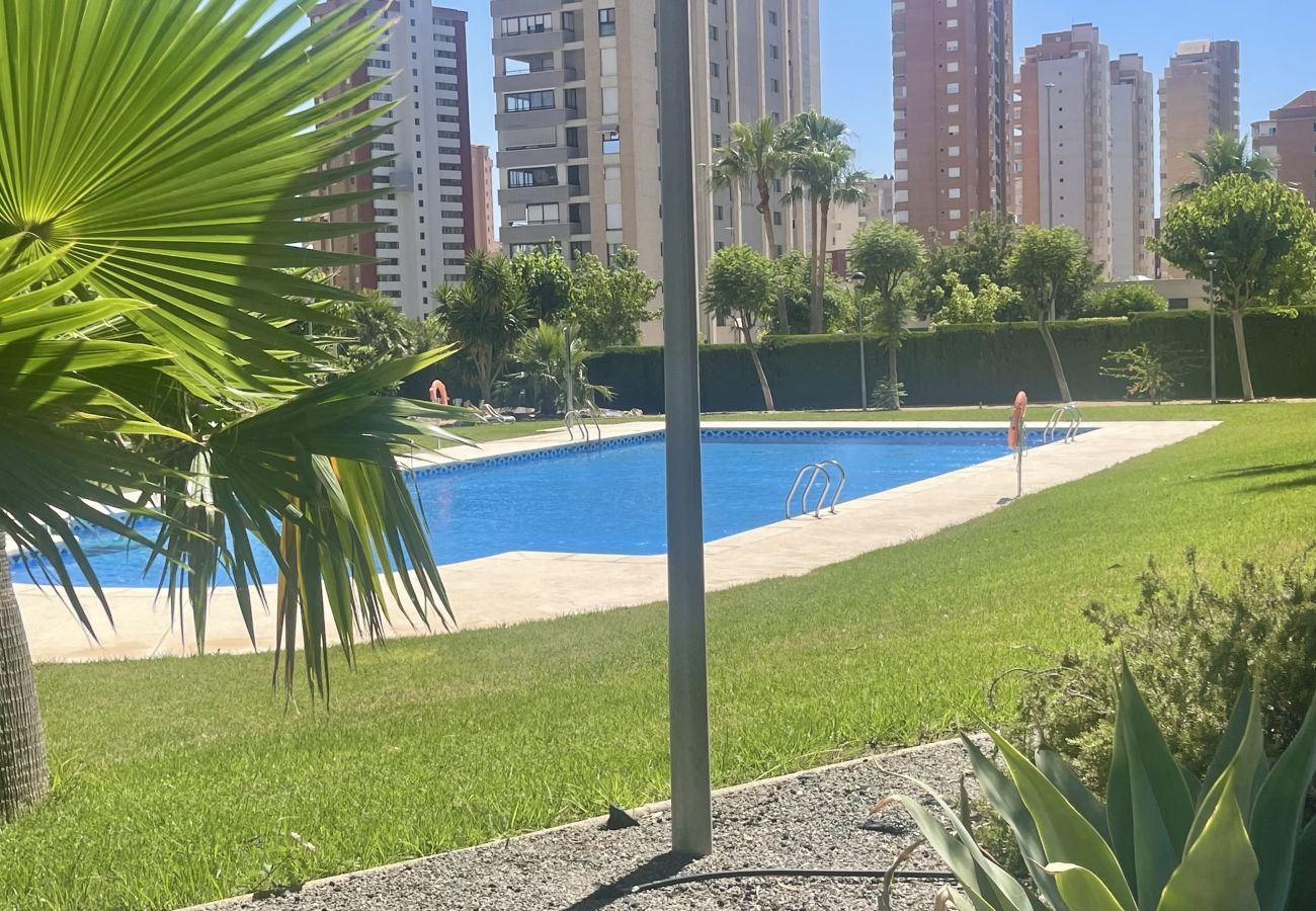 Apartamento en Benidorm - CRONOS HIGH VIEWS R069