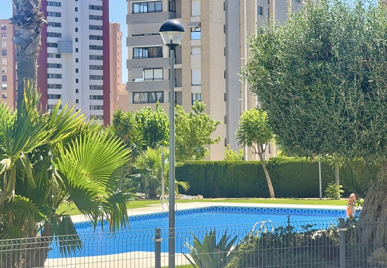Apartamento en Benidorm - CRONOS HIGH VIEWS R069