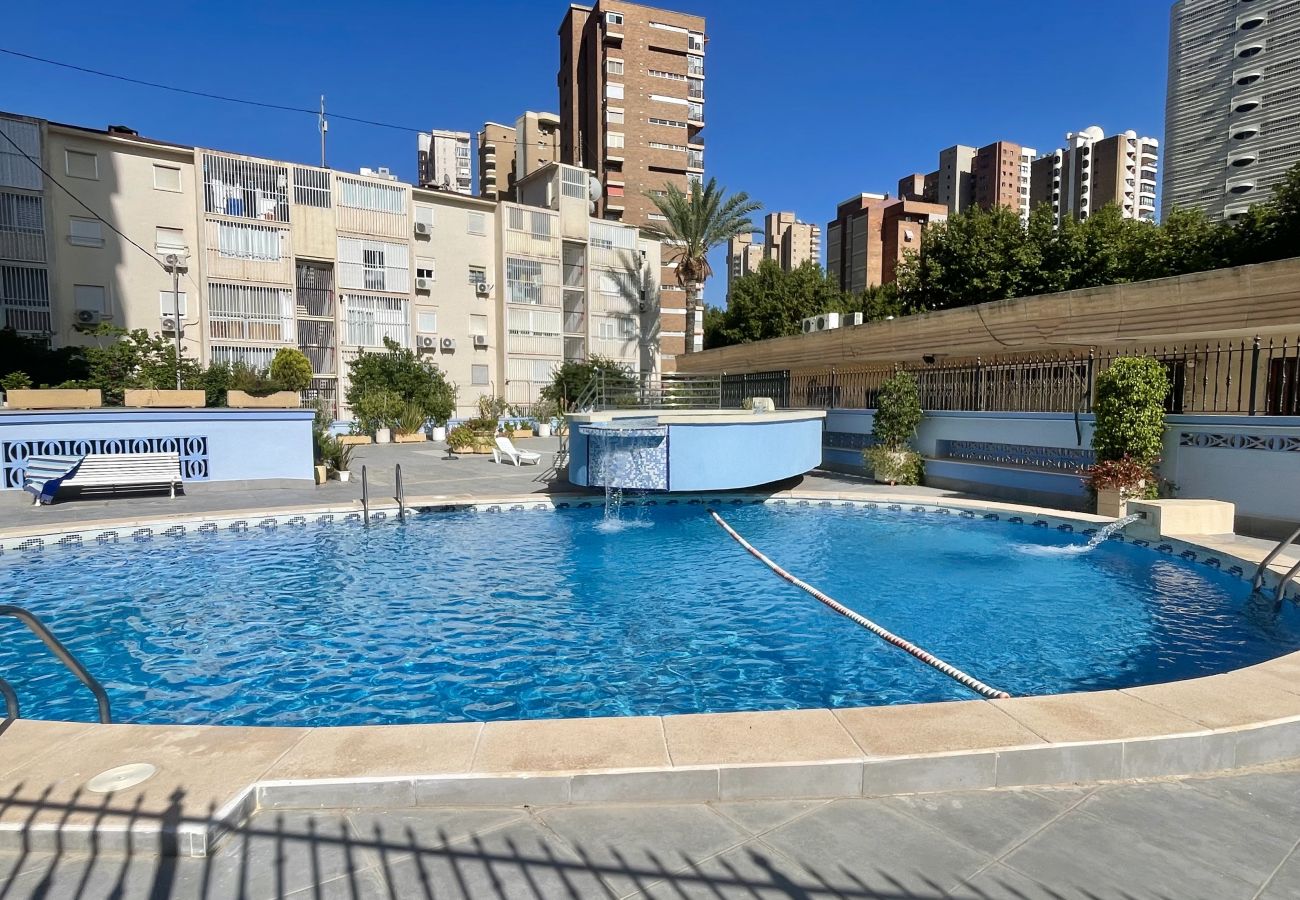 Apartamento en Benidorm - TORRE BENIDORM LEVANTE (R115)