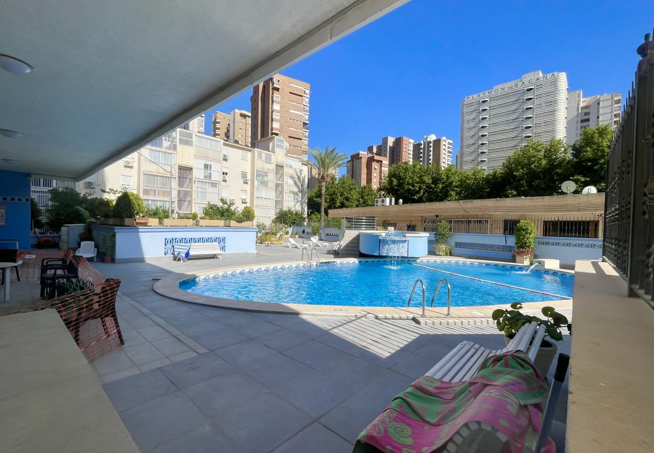 Apartamento en Benidorm - TORRE BENIDORM LEVANTE (R115)