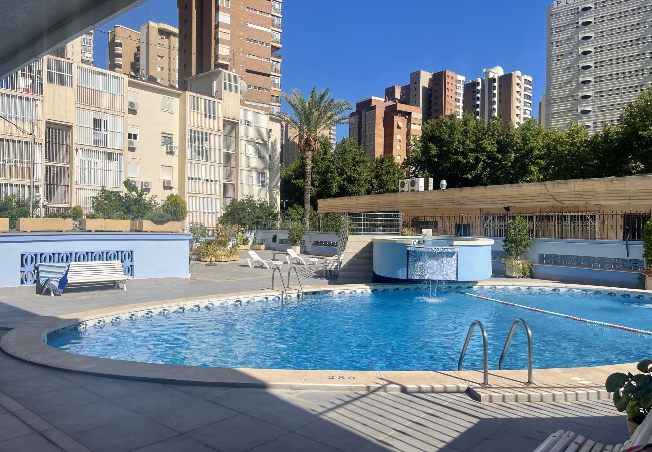 Apartamento en Benidorm - TORRE BENIDORM LEVANTE (R115)