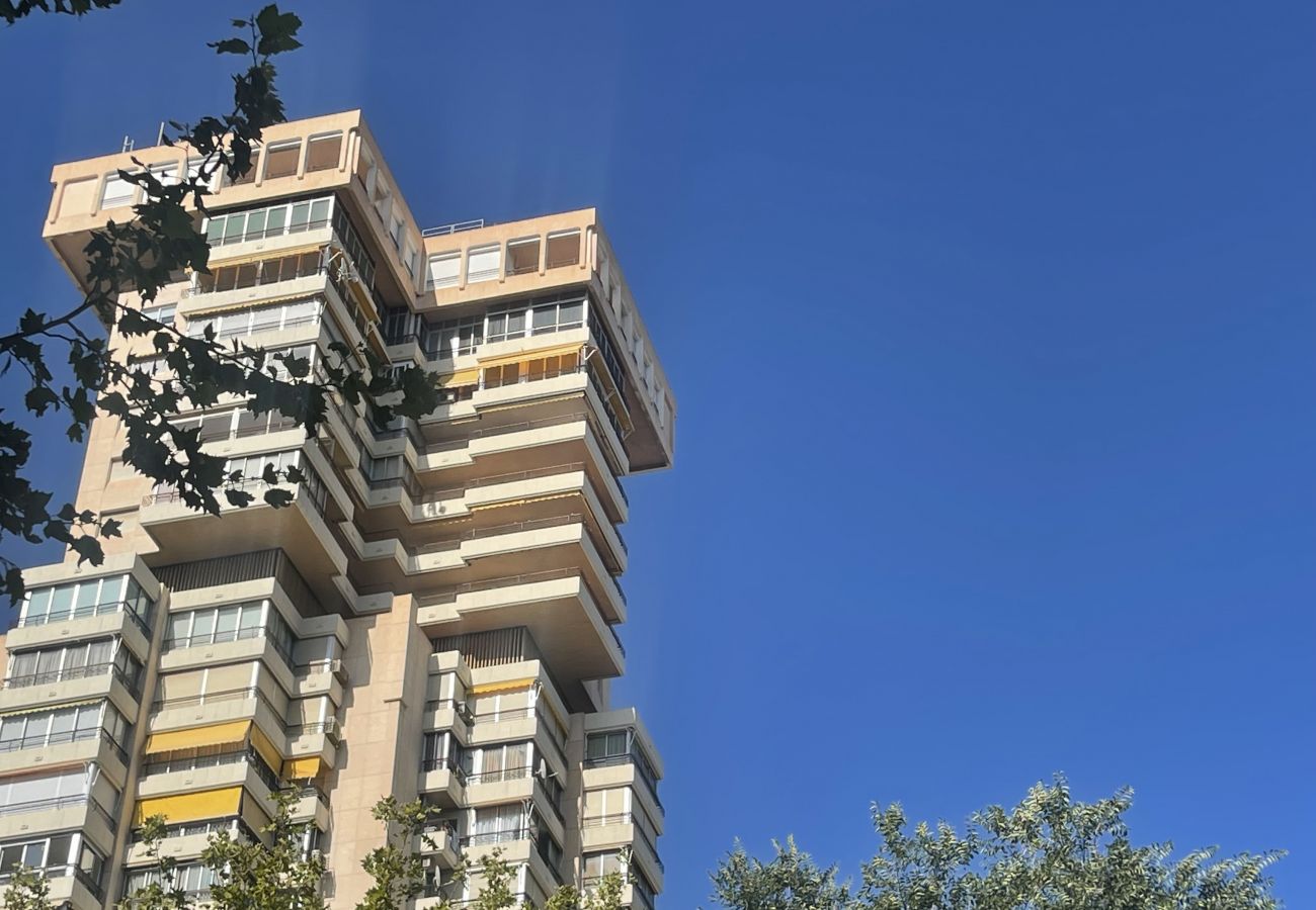 Apartamento en Benidorm - TORRE BENIDORM LEVANTE (R115)