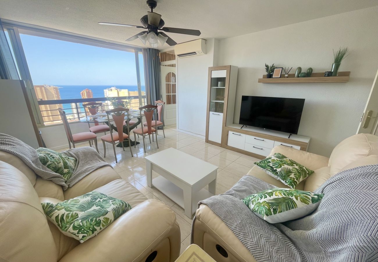 Apartamento en Benidorm - PENTHOUSE ACUARIUM (R123)