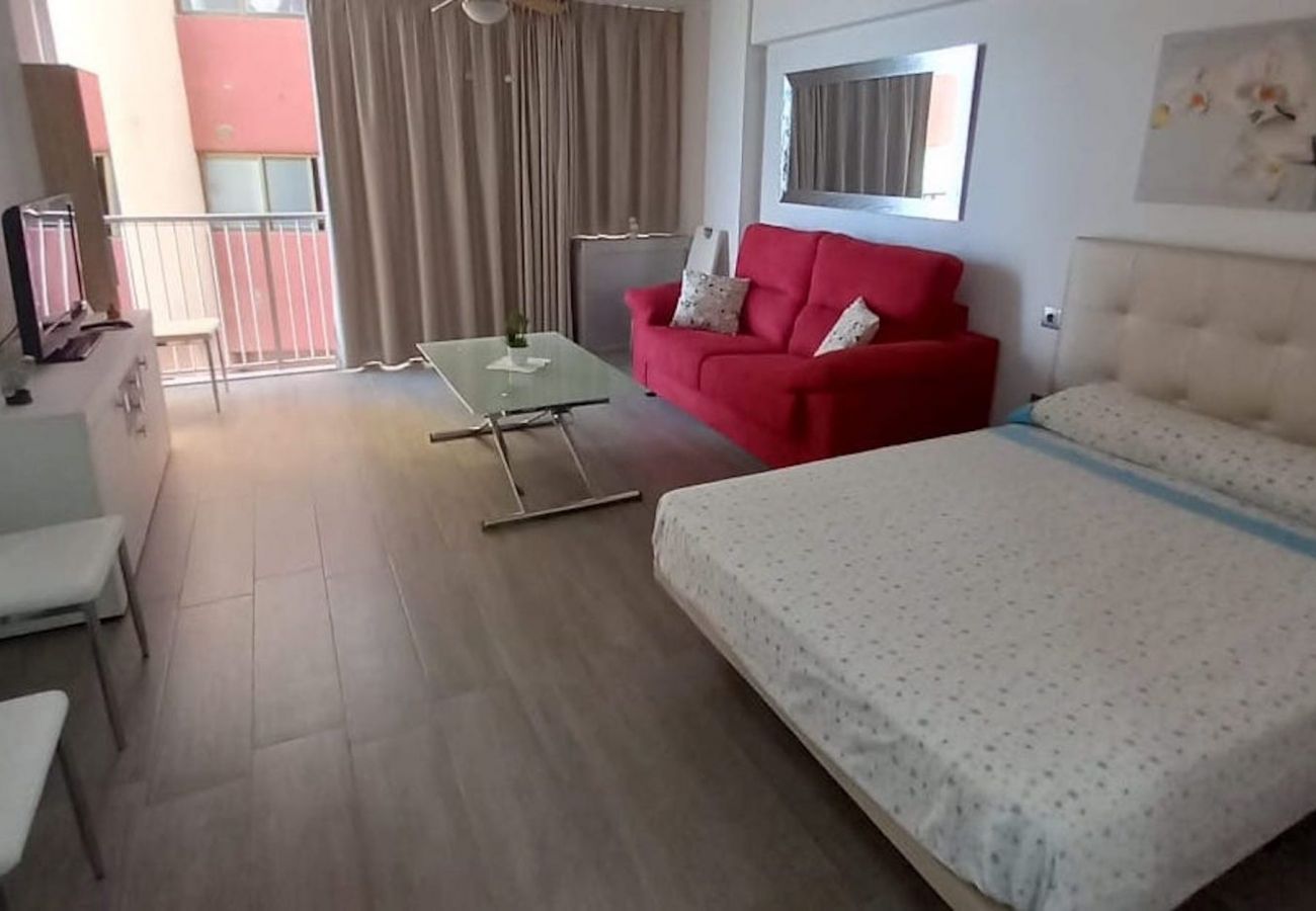 Estudio en Benidorm - TROPICANA PONIENTE BEACH R126