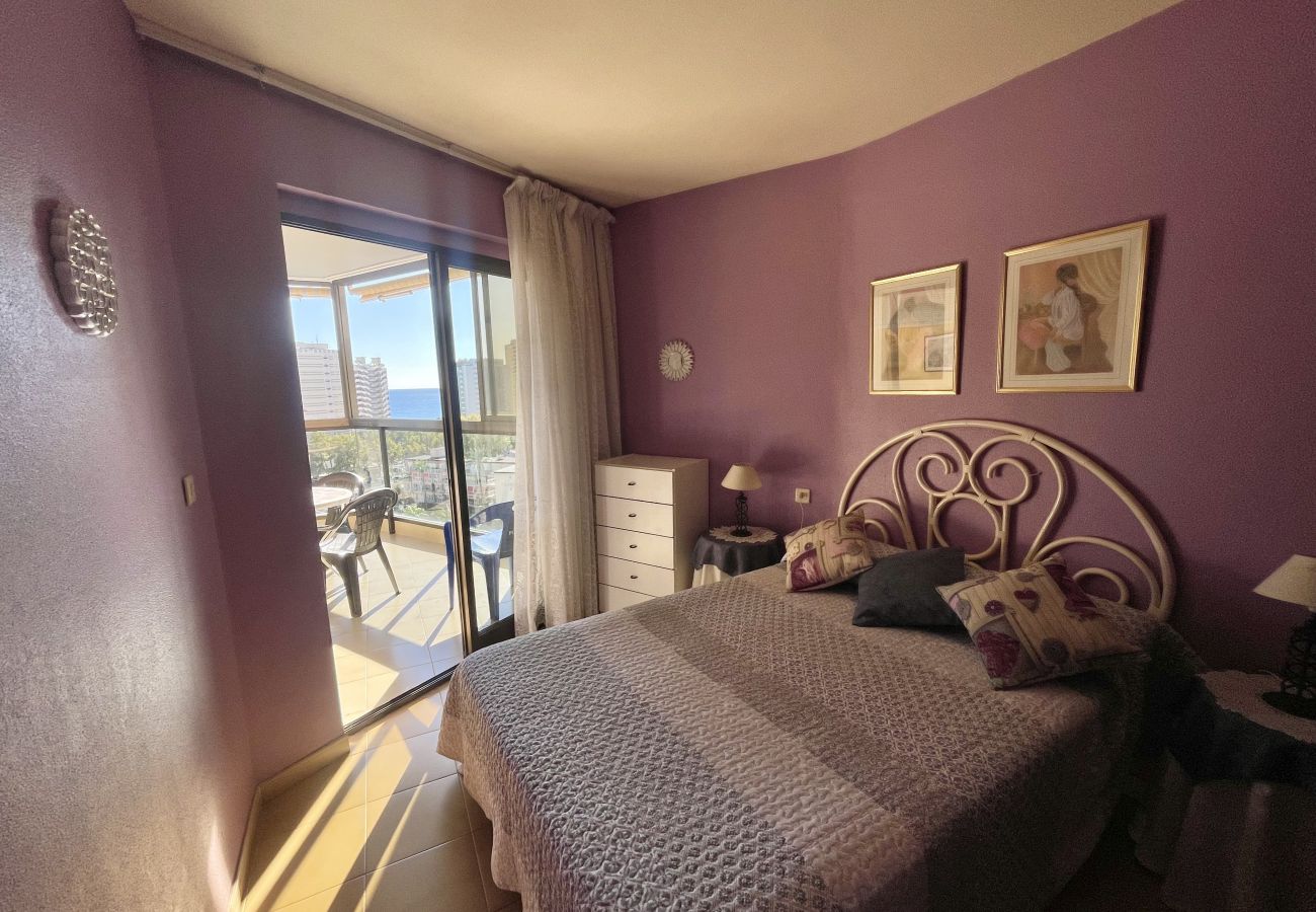 Apartamento en Benidorm - TORPA BENIDORM LEVANTE R135
