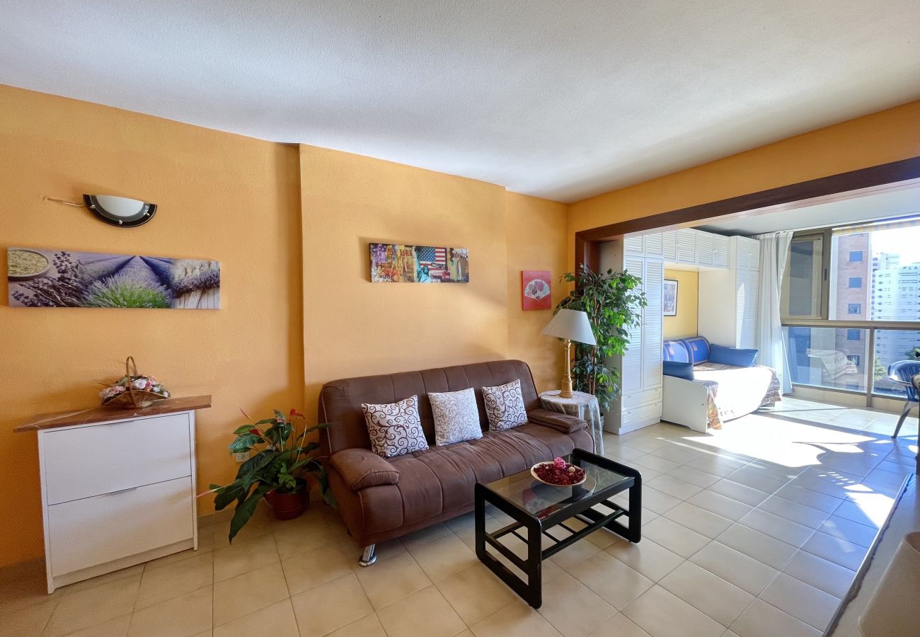 Apartamento en Benidorm - TORPA BENIDORM LEVANTE R135
