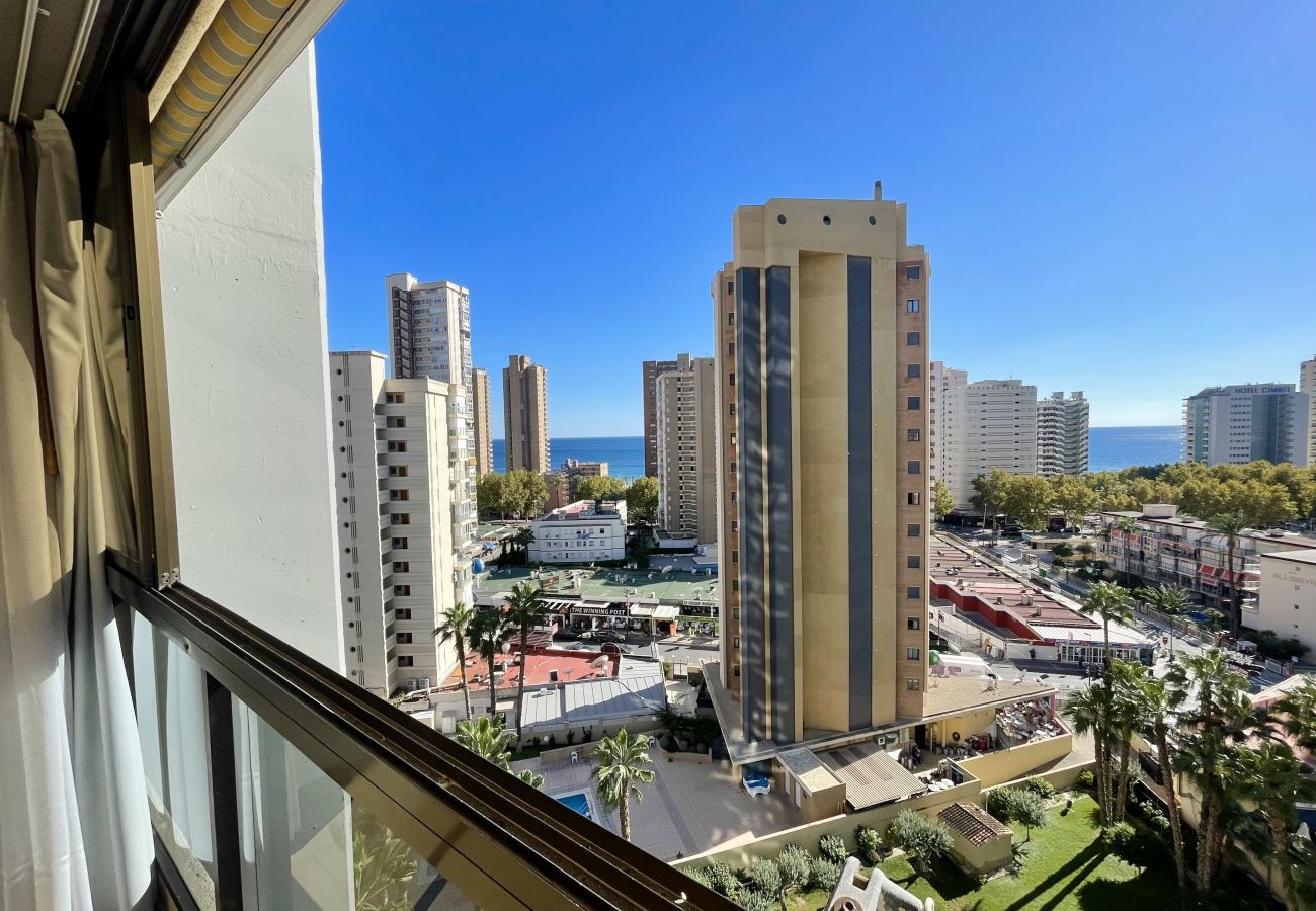Apartamento en Benidorm - TORPA BENIDORM LEVANTE R135