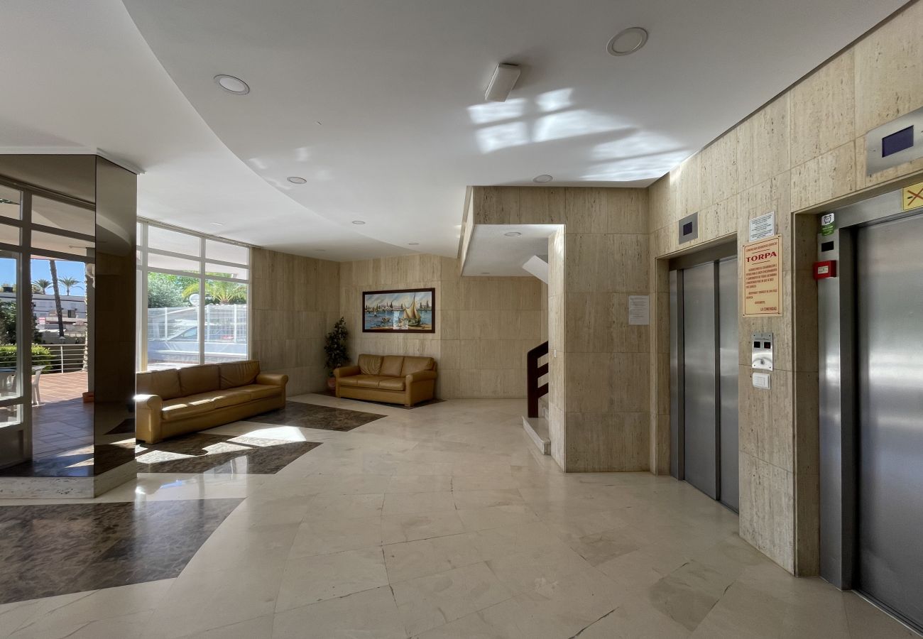 Apartamento en Benidorm - TORPA BENIDORM LEVANTE R135