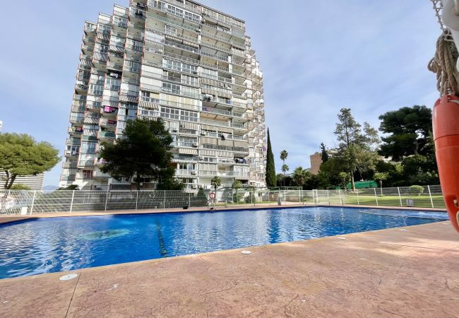 Apartamento en Benidorm - Torre Colón (R139)