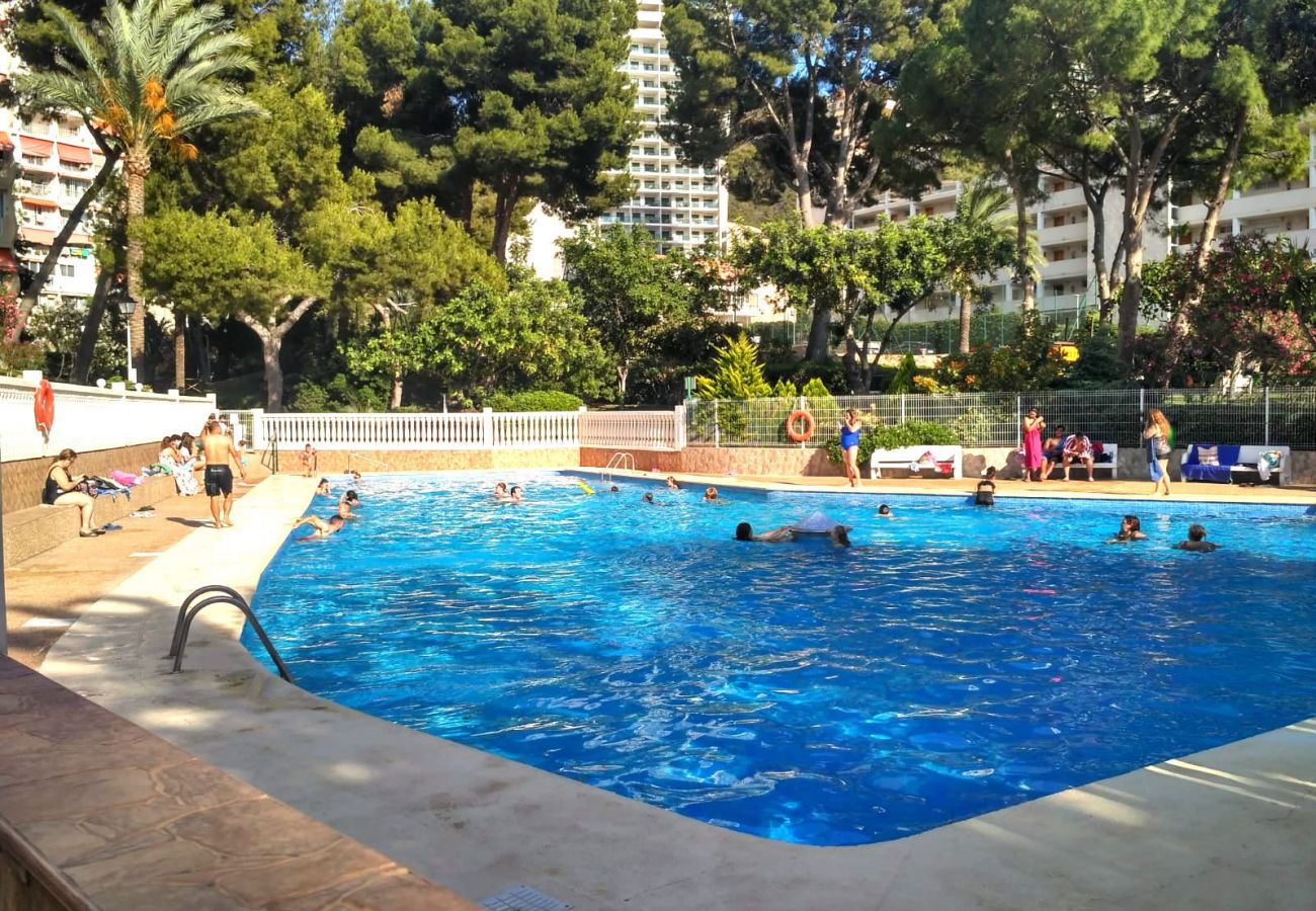 Apartamento en Benidorm - APARTMENT GARDEN LOIX R144