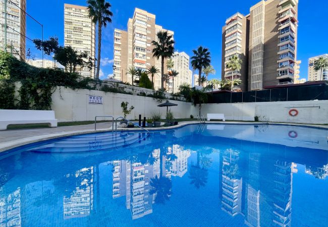 Apartamento en Benidorm - MARINA LEVANTE SEDAVI R145 Apartamento en Benidorm - MARINA LEVANTE SEDAVI R145