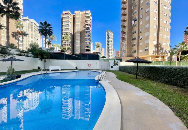Apartamento en Benidorm - MARINA LEVANTE SEDAVI R145 Apartamento en Benidorm - MARINA LEVANTE SEDAVI R145