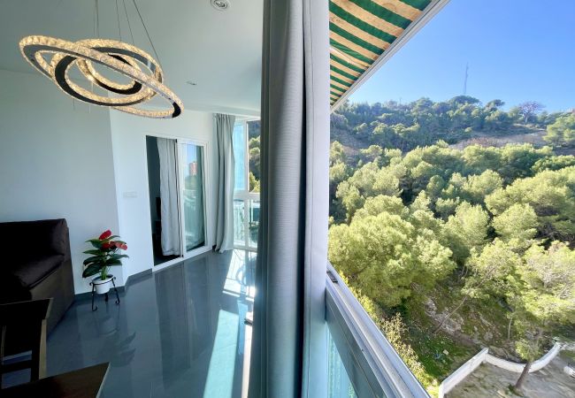 Apartamento en Benidorm - ANTENA POOL CITY R148 Apartamento en Benidorm - ANTENA POOL CITY R148