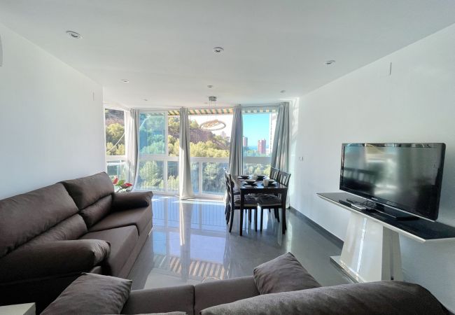 Apartamento en Benidorm - ANTENA POOL CITY R148 Apartamento en Benidorm - ANTENA POOL CITY R148