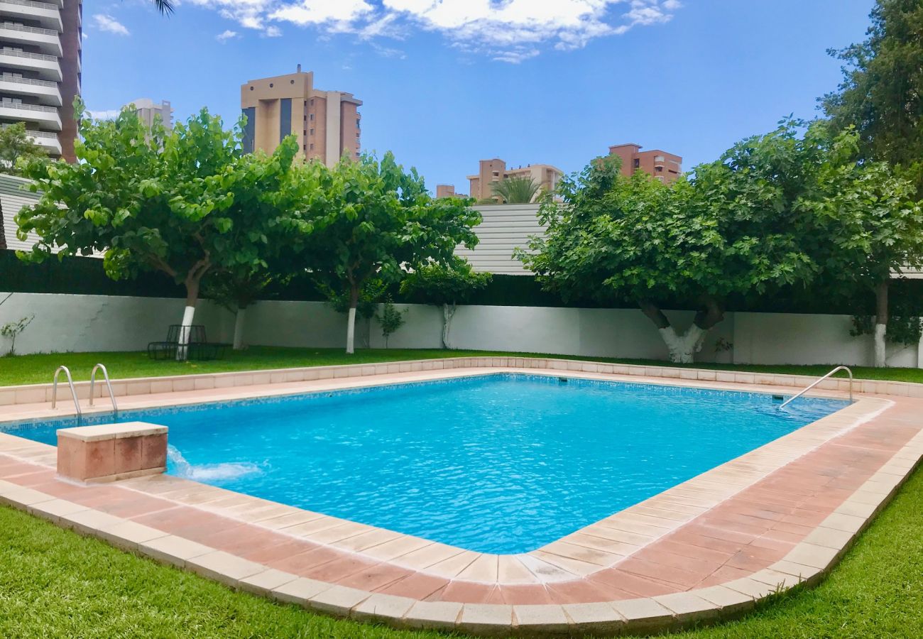 Apartamento en Benidorm - COBLANCA 24 WIFI & POOL & AIRCO & PARKING & BEACH R155