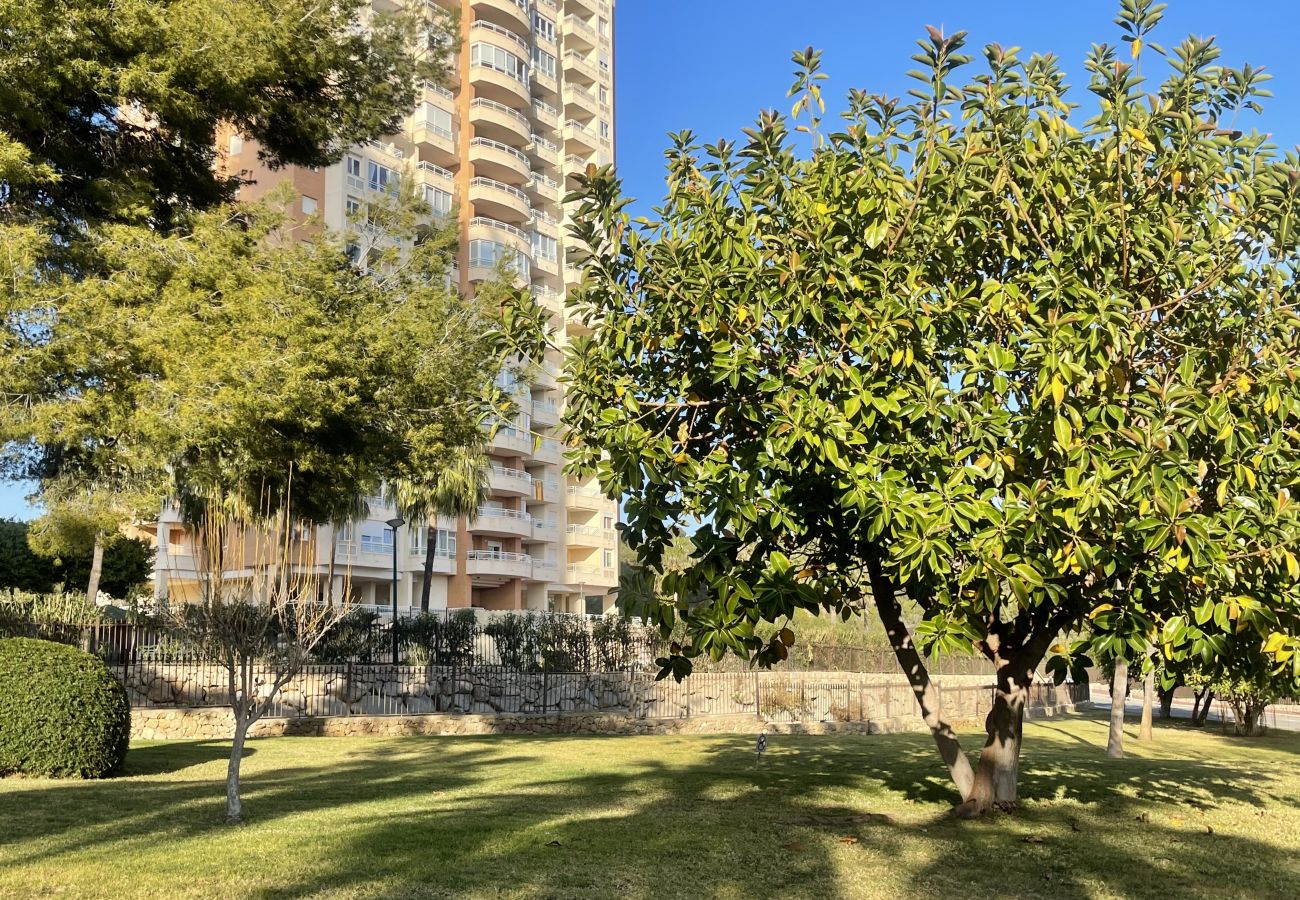 Apartamento en Benidorm - Poniente Vía Parque Apartment R156
