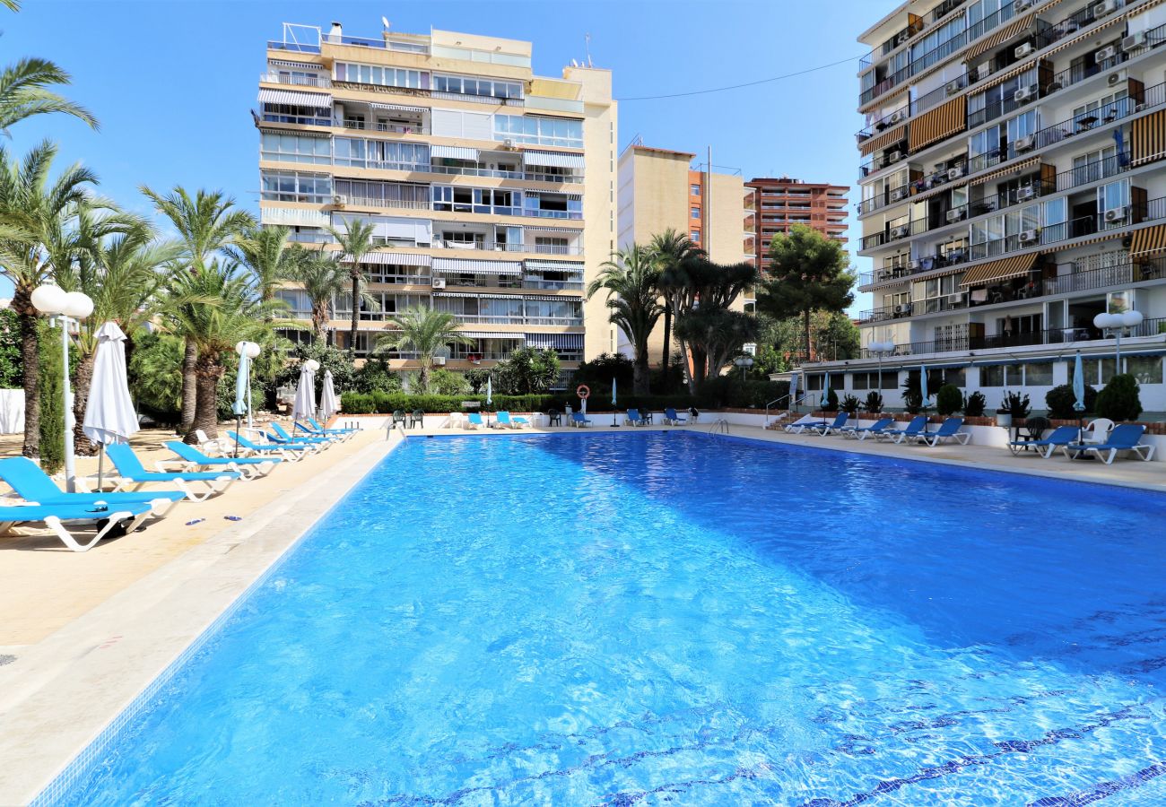 Apartamento en Benidorm - VERSALLES POOL LEVANTE R161