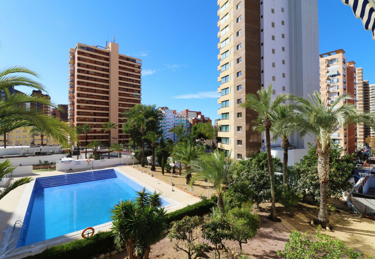 Apartamento en Benidorm - VERSALLES POOL LEVANTE R161